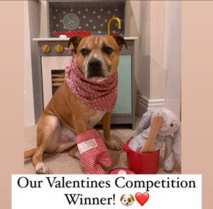 Image for Congratulations!